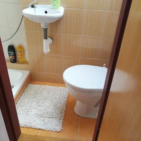 Apartment V Zahrade